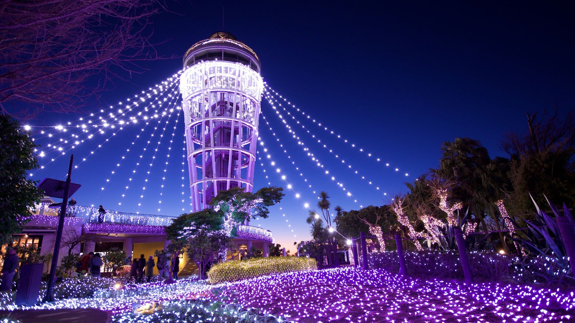 🌿 에노시마 사무엘 코킹 정원 (Enoshima Samuel Cocking Garden) 이미지 10
